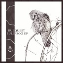 Dubquest - Bullfrog Alessandro Diruggiero Remix
