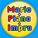 Tim de Man - Overworld Theme From Super Mario Bros 2