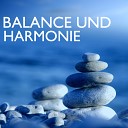 Harmonie Zen - Balance und Harmonie