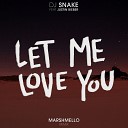 DJ Snake feat Justin Bieber - Let Me Love You Marshmello Remix