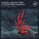Sanjin Walshy Fire Salvatore Ganacci - Nah Tell Dem