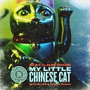 Alex Piccini - My Little Chinese Cat Alex Tepper Remix