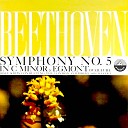 London Symphony Orchestra - Symphony No 5 in C Minor Op 67 II Andante con…