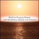 Mindfulness Amenity Life Selection - Summer Relaxation Original Mix