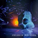 FIELDS OF NÆCLUDA - Only Ashes Remain