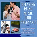 Pregnancy Relaxation Orchestra - Purity Quest