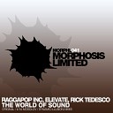 Rick Tedesco - The World of Sound Dynamic Illusion Remix