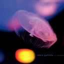 Robin Guthrie - Some Sort Of Paradise