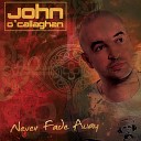 John O Callaghan - Never Fade Away Feat Lo Fi Radio Edit