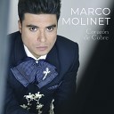 Marco Molinet - Coraz n de Cobre