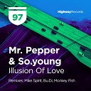 Mr Pepper So young - Illusion Of Love Original Mix