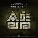 Wildstylez x D Block S te Fan - Wolves Cry Extended Mix