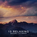 Nature Sounds Relaxation Music for Sleep Meditation Massage Therapy Spa Bird Sounds Rest Relax Nature Sounds… - Animals Nature
