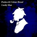 Peckos Colour Breed - Mathematics Orginal Mix