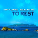 Ocean Sounds Rest Relax Nature Sounds Artists - Nature Therapy