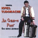 Ionel Tudorache - O Inim De Mam