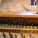 Guillermo Brachetta Menno van Delft - Concerto for 2 Harpsichords in C Major BWV 1061 I…