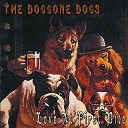 The Doggone Dogs - Medley 2 She s Not There Unchain My Heart I Can t Keep from…