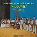 Orchestra de muzic popular Mugurel din Chi in… - Doin i Br u