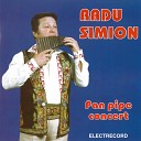 Radu Simion - Colea N Vale La F nt n