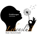 Drums On Earth feat LEOpold Zillinger - Manchmal Morning Breeze