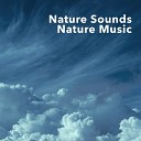 Nature Sounds Nature Music - Cozy Rain Original Mix