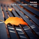 Aerotek - Follow The Leaves Autumn Trip Hop Mix