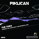 Pimlican - The Ones Original Mix