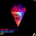 David Enkay - Inevitable Original Mix