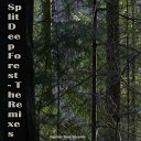 Split - Deep Forest 120 House Remix