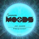 Jay James - Frequency Original Mix