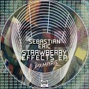 Sebastian Eric - Not This Time Primarie Remix