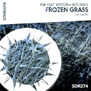 KBK feat Wiktoria Betlinska - Frozen Grass Original Mix