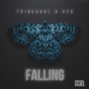 Tribesoul Dzo - Falling Original Mix