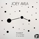 Joey Avila - It s Just Begun Original Mix