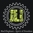 Mad Elephant - Colosseum