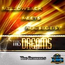 Mellowback Housegeist - This Dreams Neyther Remix