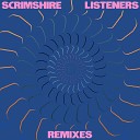 Scrimshire feat Madison McFerrin - I Never Kayla Painter Remix