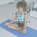 Healing Meditation Zone Pure Spa Massage Music Serenity Music… - Easy Falling Asleep