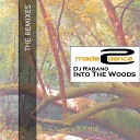 Dj Rabano - Into The Woods Bizarre R Remix