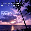 Shaun Ansari - Luxuria Suncatcher s Wave Motion Remix
