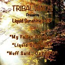 Antonio Ocasio - Liquid Sunshine Original Mix