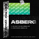 Magnus Asberg - Do What You Like Original Mix