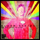 Flash Atkins feat Sally Garozzo - Did You Forget To Shine Dubstrumental Mix