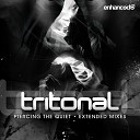 Tritonal ft Jeza - Can t Keep It In