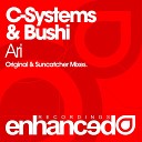 C Systems Bushi - Ari Suncatcher Remix Tune Of The Week