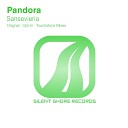 Pandora - Sansevieria