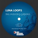 Luna Loops - For You Original Mix