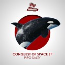 Pipo Salty - Disco On The Moon Original Mix