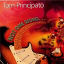 Tom Principato - One Night In Hindustan